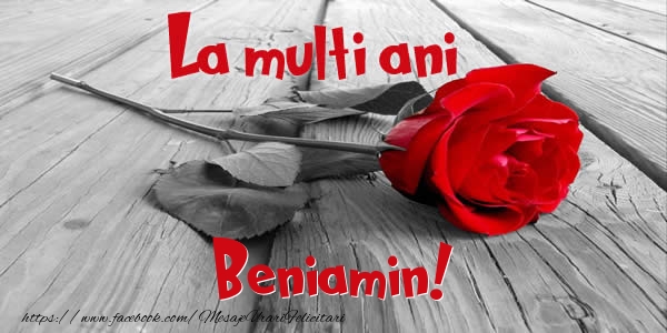 Felicitari de zi de nastere - Flori & Trandafiri | La multi ani Beniamin!