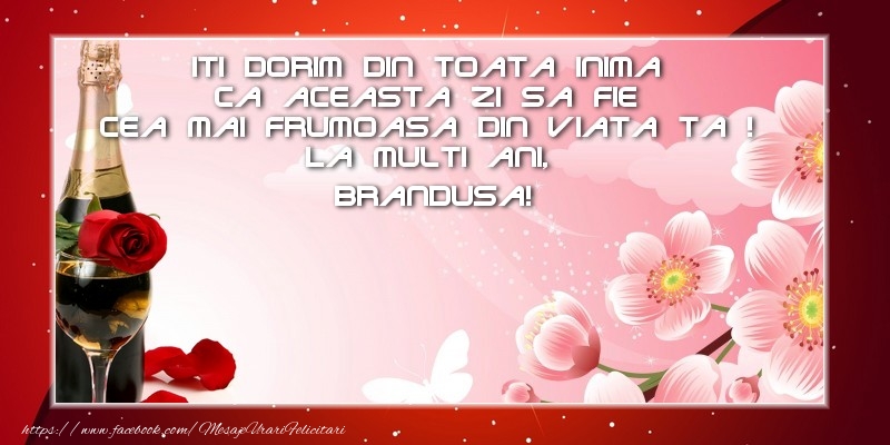 Felicitari de zi de nastere - 1 Poza & Ramă Foto & Sampanie & Tort | La multi ani, Brandusa!