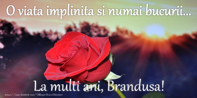 Felicitari de zi de nastere - Flori | O viata implinita si numai bucurii... La multi ani Brandusa!
