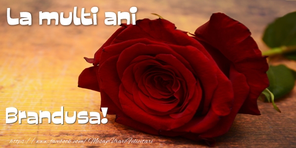 Felicitari de zi de nastere - Flori & Trandafiri | La multi ani Brandusa!