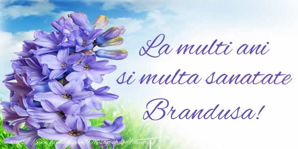Felicitari de zi de nastere - La multi ani si multa sanatate Brandusa!