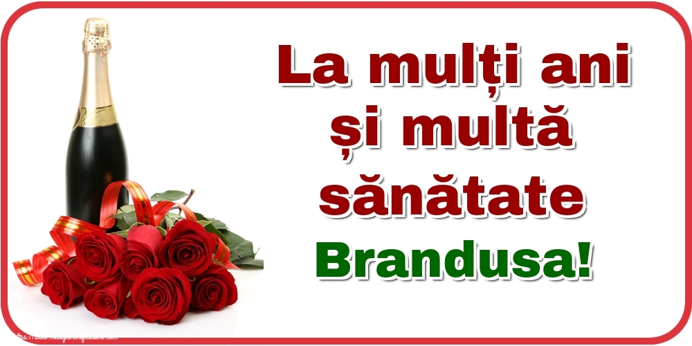 Felicitari de zi de nastere - Flori & Sampanie | La mulți ani și multă sănătate Brandusa!