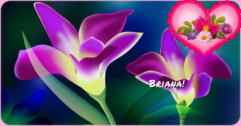 Felicitari de zi de nastere - Flori & 1 Poza & Ramă Foto | Cu ocazia zilei de nastere noi iti dorim  tot binele din lume si mult succes in toate! La Multi Ani, Briana
