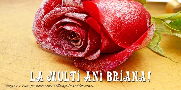 Felicitari de zi de nastere - Flori & Trandafiri | La multi ani Briana!