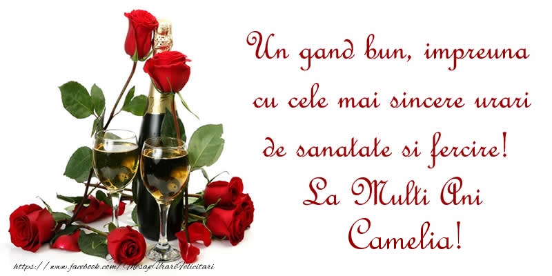 Felicitari de zi de nastere - Flori & Sampanie | Un gand bun, impreuna cu cele mai sincere urari de sanatate si fercire! La Multi Ani Camelia!