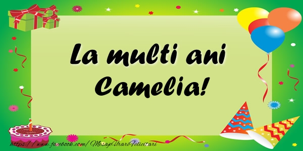 Felicitari de zi de nastere - Baloane & Confetti | La multi ani Camelia!