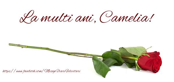 Felicitari de zi de nastere - Flori & Trandafiri | La multi ani, Camelia!