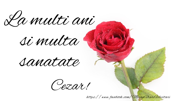 Felicitari de zi de nastere - Trandafiri | La multi ani si multa sanatate Cezar!