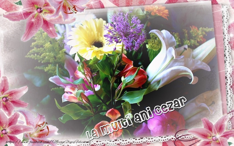 Felicitari de zi de nastere - Flori | La multi ani Cezar