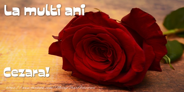 Felicitari de zi de nastere - Flori & Trandafiri | La multi ani Cezara!