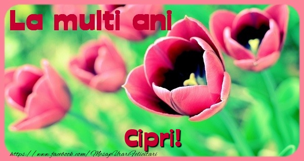 Felicitari de zi de nastere - Flori & Lalele | La multi ani Cipri