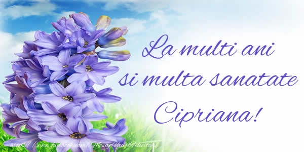 Felicitari de zi de nastere - Flori | La multi ani si multa sanatate Cipriana!