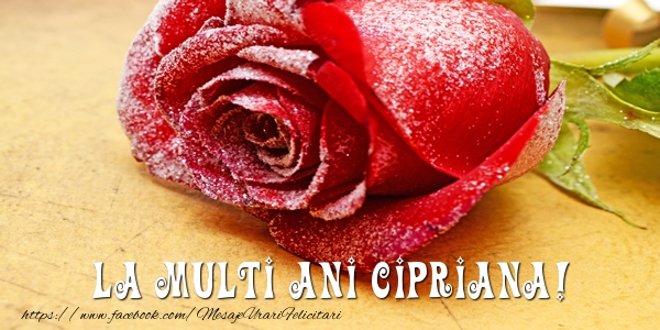 Felicitari de zi de nastere - Flori & Trandafiri | La multi ani Cipriana!
