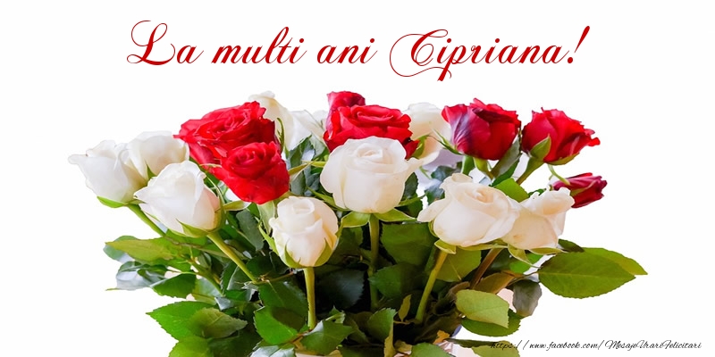 Felicitari de zi de nastere - Buchete De Flori & Flori & Trandafiri | La multi ani Cipriana!
