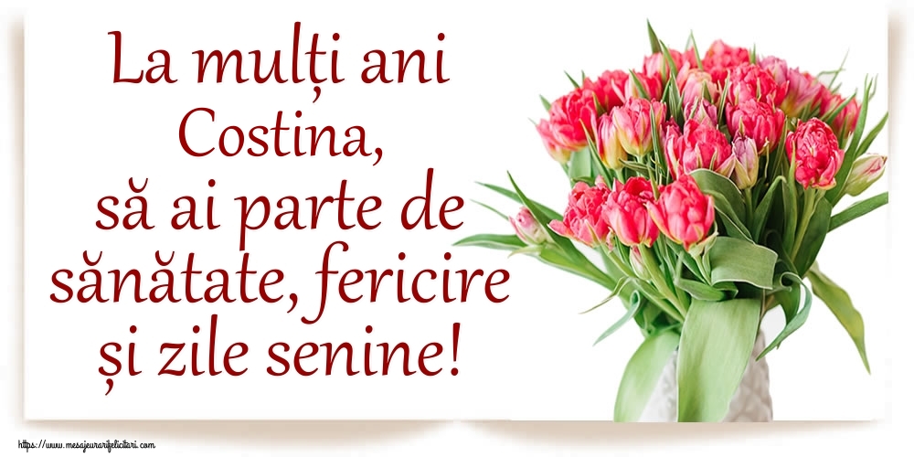 Felicitari de zi de nastere - La mulți ani Costina, să ai parte de sănătate, fericire și zile senine!