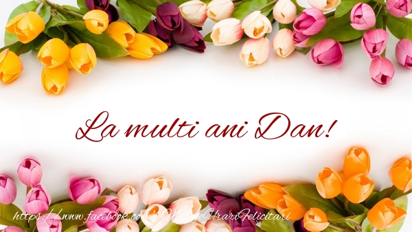 Felicitari de zi de nastere - Flori & Lalele | La multi ani Dan!