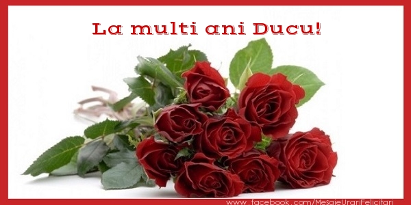 Felicitari de zi de nastere - Flori & Trandafiri | La multi ani Ducu!