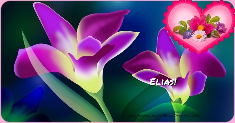Felicitari de zi de nastere - Flori & 1 Poza & Ramă Foto | Cu ocazia zilei de nastere noi iti dorim  tot binele din lume si mult succes in toate! La Multi Ani, Elias