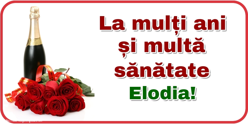 Felicitari de zi de nastere - Flori & Sampanie | La mulți ani și multă sănătate Elodia!