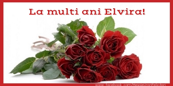 Felicitari de zi de nastere - Flori & Trandafiri | La multi ani Elvira!