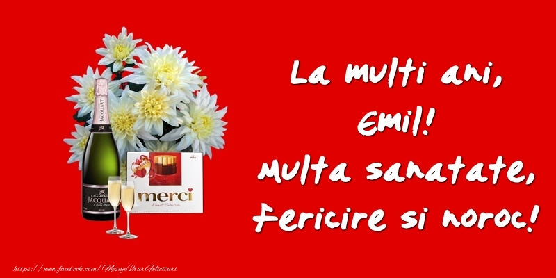 Felicitari de zi de nastere - Flori & Sampanie | La multi ani, Emil! Multa sanatate, fericire si noroc!
