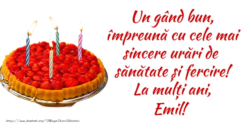 Felicitari de zi de nastere - Tort | Un gând bun, împreună cu cele mai sincere urări de sănătate și fercire! La mulți ani, Emil!