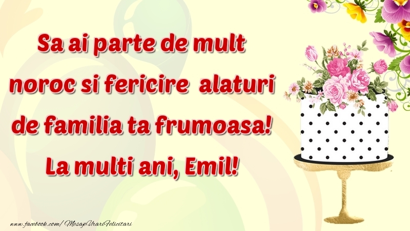 Felicitari de zi de nastere - Flori & Tort | Sa ai parte de mult noroc si fericire  alaturi de familia ta frumoasa! Emil