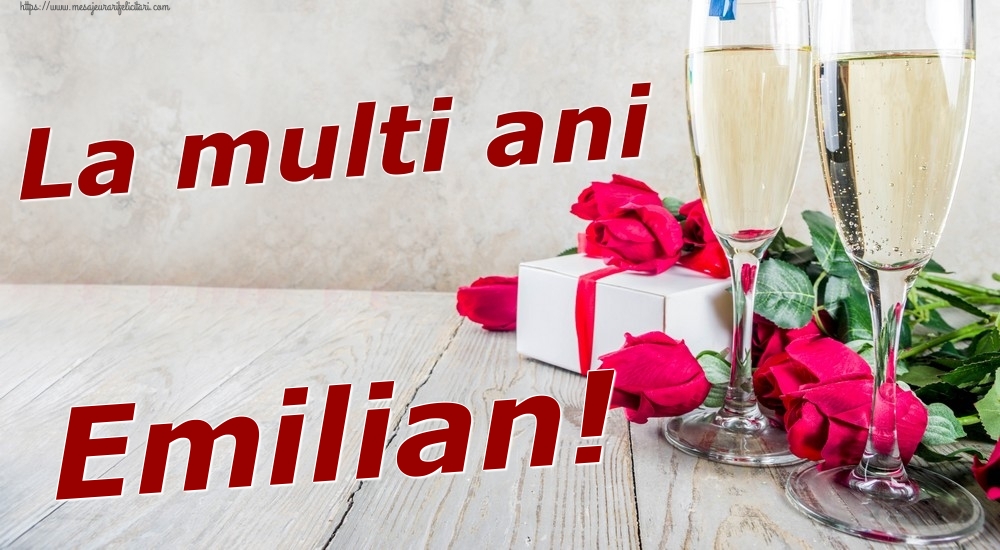 Felicitari de zi de nastere - Sampanie & Trandafiri | La multi ani Emilian!