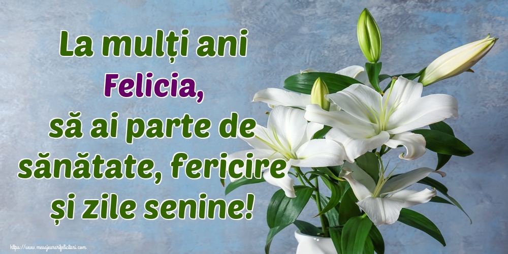 Felicitari de zi de nastere - La mulți ani Felicia, să ai parte de sănătate, fericire și zile senine!