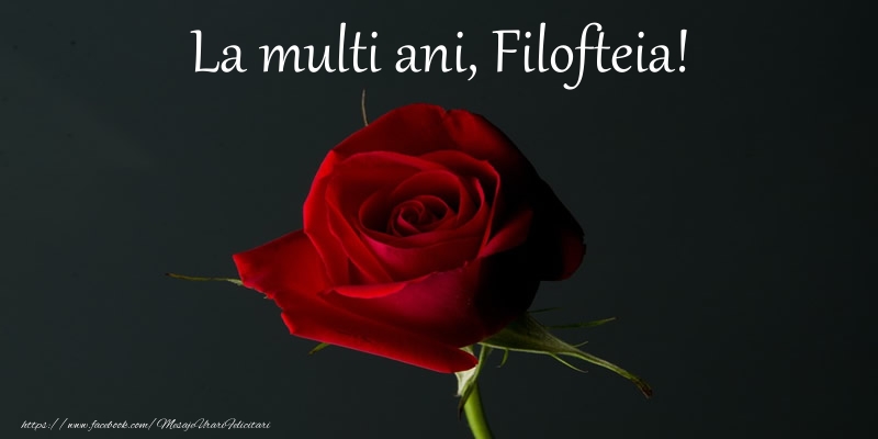 Felicitari de zi de nastere - Flori & Trandafiri | La multi ani Filofteia!