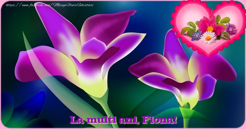 Felicitari de zi de nastere - Flori & 1 Poza & Ramă Foto | La multi ani Fiona