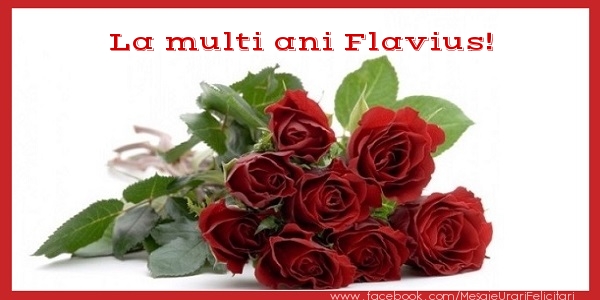 Felicitari de zi de nastere - Flori & Trandafiri | La multi ani Flavius!