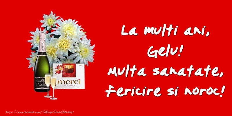 Felicitari de zi de nastere - Flori & Sampanie | La multi ani, Gelu! Multa sanatate, fericire si noroc!