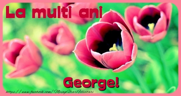 Felicitari de zi de nastere - Flori & Lalele | La multi ani George
