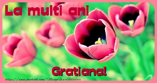  Felicitari de zi de nastere - Flori & Lalele | La multi ani Gratiana