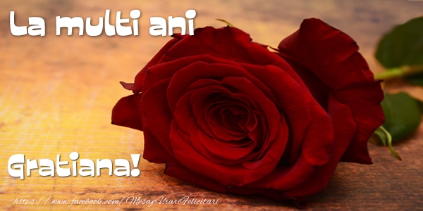 Felicitari de zi de nastere - Flori & Trandafiri | La multi ani Gratiana!
