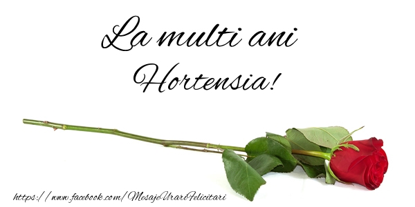 Felicitari de zi de nastere - Flori & Trandafiri | La multi ani Hortensia!
