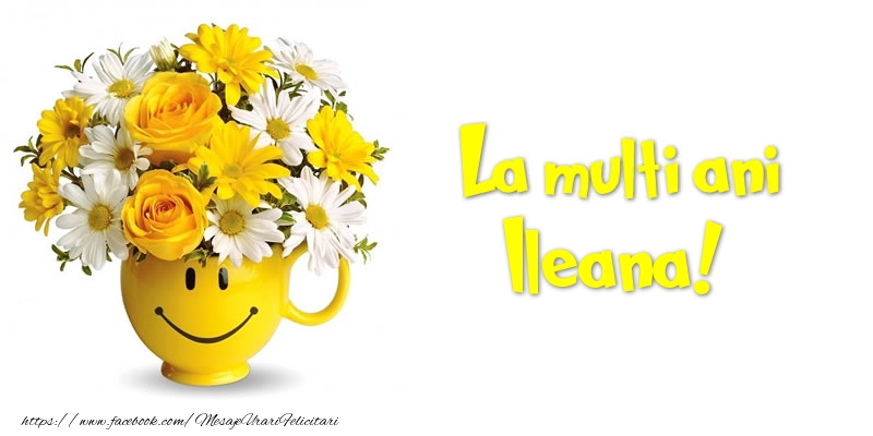Felicitari de zi de nastere - Buchete De Flori & Flori | La multi ani Ileana!