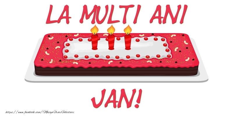Felicitari de zi de nastere -  Tort La multi ani Jan!