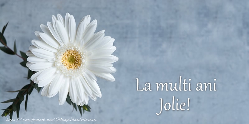 Felicitari de zi de nastere - La multi ani Jolie!