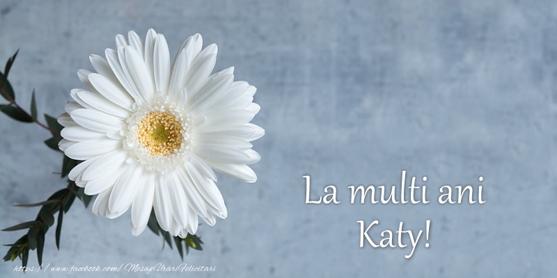 Felicitari de zi de nastere - Flori | La multi ani Katy!