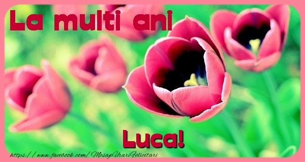 Felicitari de zi de nastere - Flori & Lalele | La multi ani Luca
