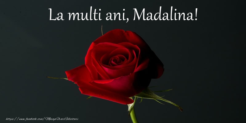 Felicitari de zi de nastere - Flori & Trandafiri | La multi ani Madalina!