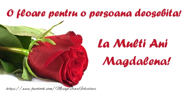 Felicitari de zi de nastere - Flori & Trandafiri | O floare pentru o persoana deosebita! La multi ani Magdalena!