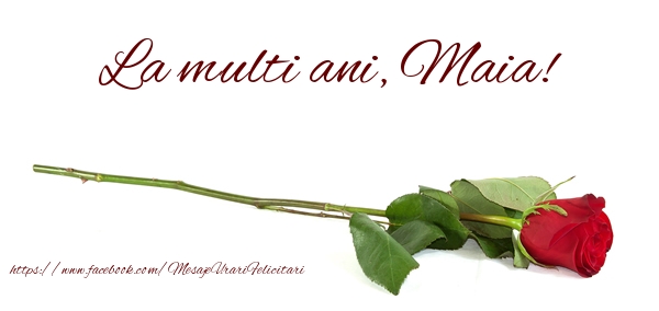 Felicitari de zi de nastere - Flori & Trandafiri | La multi ani, Maia!