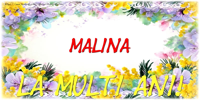 Felicitari de zi de nastere - Malina La multi ani!