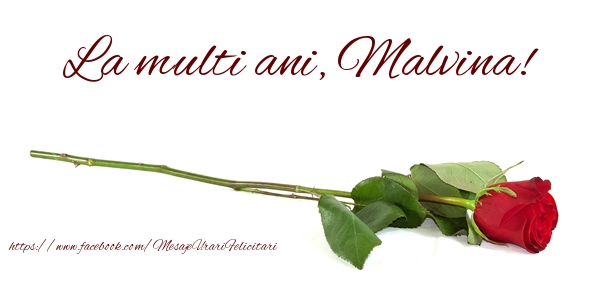 Felicitari de zi de nastere - Flori & Trandafiri | La multi ani, Malvina!