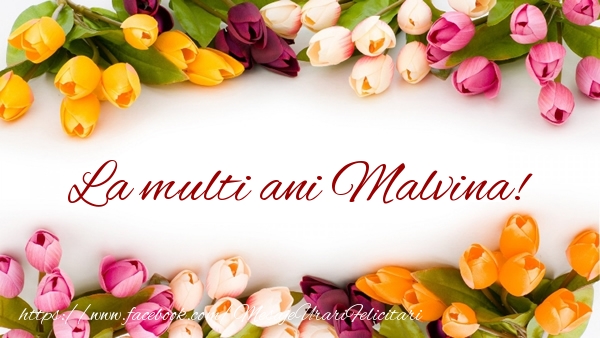 Felicitari de zi de nastere - Flori & Lalele | La multi ani Malvina!