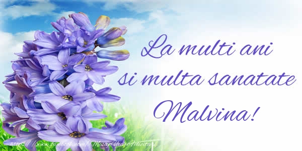 Felicitari de zi de nastere - Flori | La multi ani si multa sanatate Malvina!