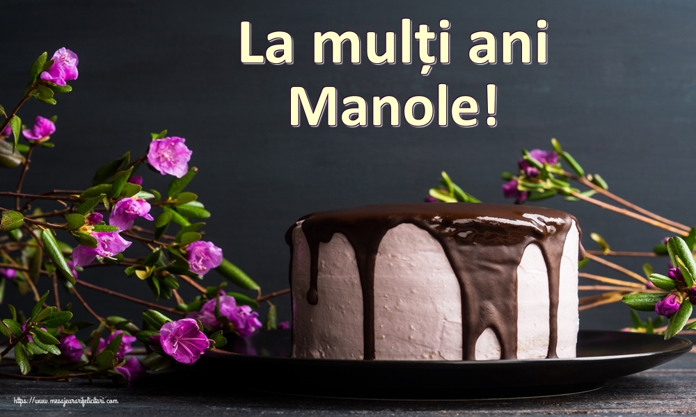 Felicitari de zi de nastere - Tort | La mulți ani Manole!